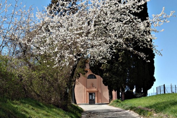 Da Madonna del Pilone a
Chieri per la “Strada Antica”